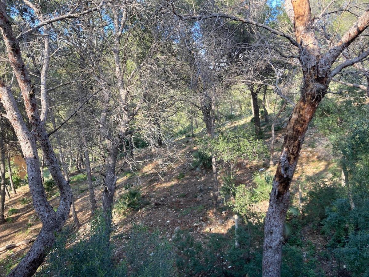 Apartamento Con Vistas Al Mar Castelldefels Bagian luar foto